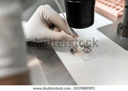 Embriologist putting sperm sample to examine under microscope or collecting in vitro cultured embryos for biopsy. Reproductive medicine clinic. Artificial insemination. Artificial conception clinic. Royalty-Free Stock Photo #2419889091