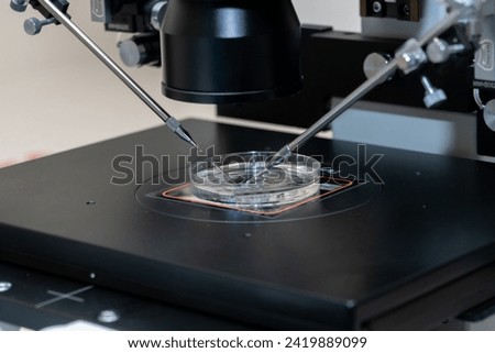 Modern IVF micromanipulator with Petri Dish in the laboratory of the in vitro fertilization. for insemination of the egg freezing. Sperm cryopreservation. Ovum fertilization procedure Royalty-Free Stock Photo #2419889099