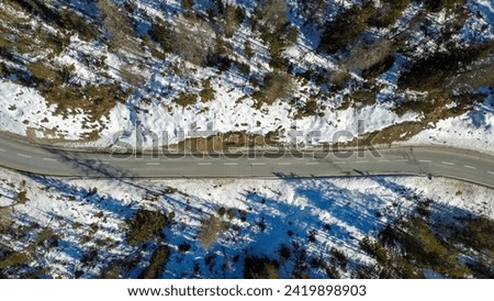 Swiss forest road in the winter.