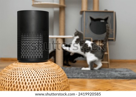 air purifier in the area with pets or cat. Air Pollution Concept. Air purifier, filters out invisible viruses, allergens or pollutants in the house on a cat tree background. Cute cat and Air purifier Royalty-Free Stock Photo #2419920585
