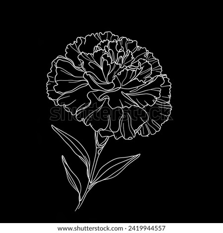 A black background serves as the backdrop for a black and white illustration of Carnations.