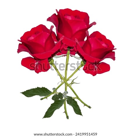  The delicate bouquet of red roses for Valentine's Day conveys love and passion. Each rose symbolizes a unique moment, and their ensemble creates a romantic and vibrant expression, perfect for celebra
