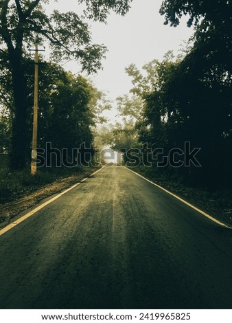 An empty road passing through the dark forest in the morning.