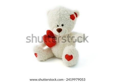 Cute teddy bear on a white background