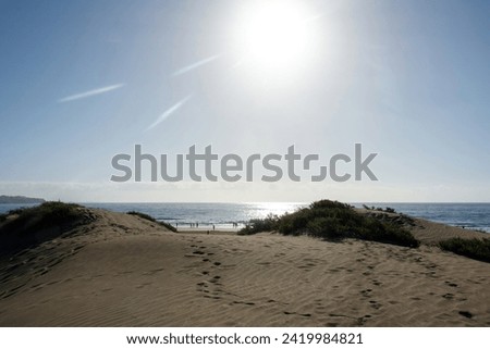 In the dunes of Maspalomas on Gran Canaria in Spain. View of the sea, with blue sky. The huge sand dunes resemble a small desert and are a nature reserve.