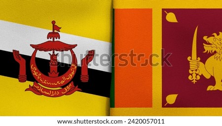 Flag of Brunei and Sri Lanka - 3D illustration. Two Flag Together - Fabric Texture