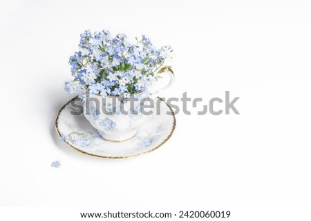 Forget-me-not flowers in small vintage antique porcelain tea cup decorated with forget-me-not blossoms isolated on white background, fresh forget me nots, copy space Royalty-Free Stock Photo #2420060019