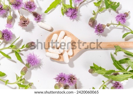Milk Thistle supplies, powder and oil. Silybum marianum, natural organic wild flower superfood product - whole and grain seeds, pills, oil with fresh thistle flowers Royalty-Free Stock Photo #2420060065