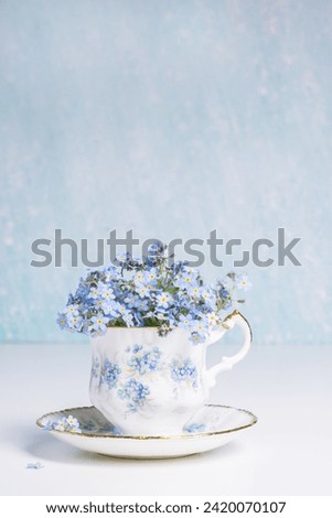 Forget-me-not flowers in small vintage antique porcelain tea cup decorated with forget-me-not blossoms isolated on light blue color background, fresh forget me nots, copy space Royalty-Free Stock Photo #2420070107