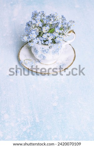Forget-me-not flowers in small vintage antique porcelain tea cup decorated with forget-me-not blossoms isolated on light blue color background, fresh forget me nots, copy space Royalty-Free Stock Photo #2420070109