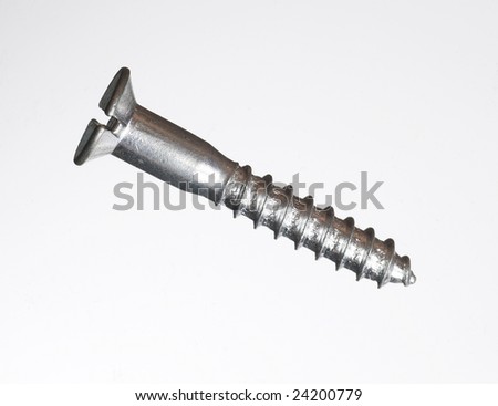 Lone silver screw close up isolated on white background