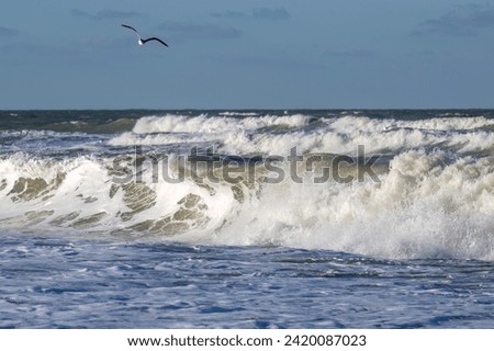 Great waves with a seagull flying above the ocean