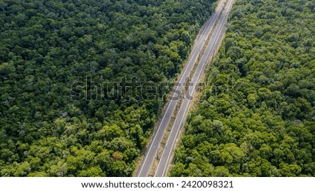Aerial view of a straight road cutting through a dense green forest, illustrating infrastructure and environmental interaction