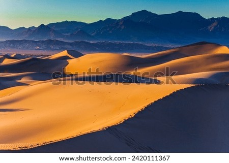 Mesquite Flat Sand Dunes is part of Death Valley in California. USA. Magic play of light on the sand. Dunes illuminated by orange sunset. The concept of ecological and photo tourism