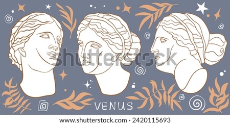 Statue of Aphrodite's head. Aphrodite Venus Portrait. Antique greek sculpture. Vector. Hand drawn Vector illustrations isolated. Editable vector illustration.