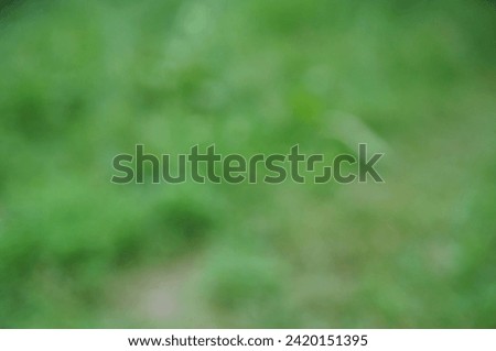 Blurry green background. Green leaves of trees. Natural background.