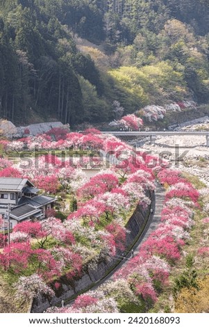 Scenery of Hanamomo no Sato, Achi Village, Nagano Prefecture