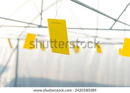 Trap of insect -Yellow glue board trap