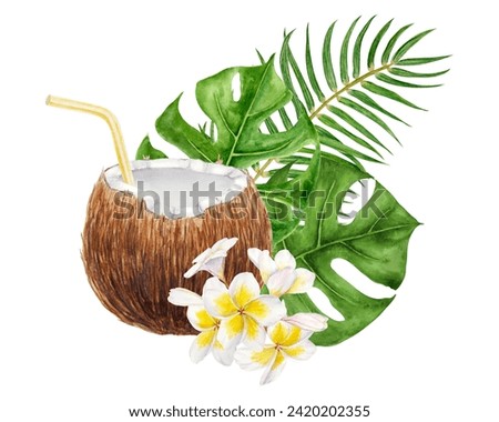 White frangipani, green monstera, palm leaves illustration. Watercolor hand drawn clip art of exotic flower plumeria. Tropical painting for wedding invitations, spa, beauty salon prints, travel guides