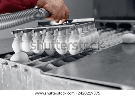 Worker transportation eggs with sucker vacuum pump for preparing dough on production line of bakery factory. Royalty-Free Stock Photo #2420219375