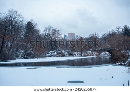 Central Park, Winter’s Embrace: A Snowy Landscape with a Stone Bridge Over a Tranquil Pond