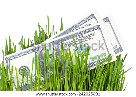 100 dollar bills growing in the green grass, finance concept