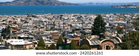 San Francisco City View: Cow Hollow and Marina Districts - 4K Ultra HD Image