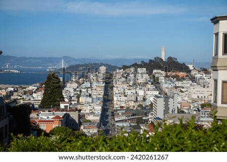 San Francisco City View: Cow Hollow and Marina Districts - 4K Ultra HD Image