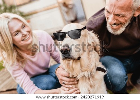 Cropped picture of a dog wearing sunglasses and mature caucasian couple laughing. Travelers spouses husband and wife traveling together with a dog in trailer motor home camper van