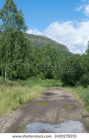 A puddle road leads through a green forest towards the rocky Mountains on a summer day