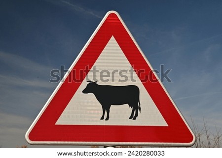 Cow Traffic Road Sign, Cattle Traffic Sign, Triangle Sign