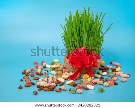 Green wheat sprouts and sweets for the Navruz holiday. The traditional celebration of the vernal equinox. Persian, Iranian, Azerbaijani New Year