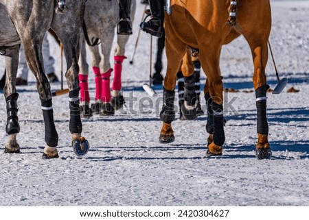 Detail of snow polo game