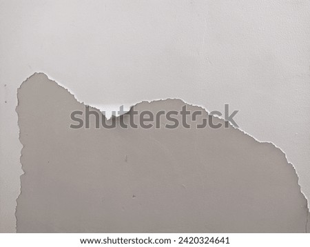 A close-up view of peeling paint on a wall. The paint is white and is peeling in several large flakes. Royalty-Free Stock Photo #2420324641