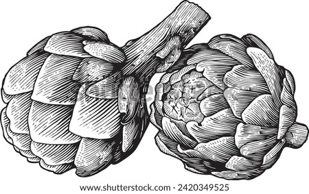 Artichoke with detailed engraving style