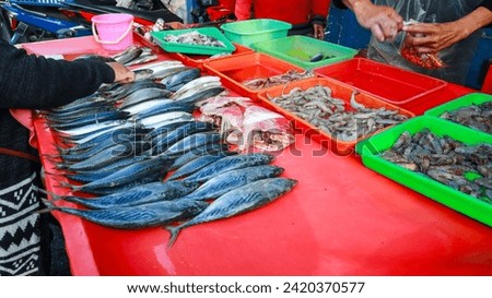 Various types of fresh sea animals caught by fishermen such as fish, shrimp and squid are displayed for sale at the local market. Seafood business concept