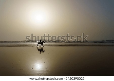 Silhouette of a horse and its rider on the beach of Essaouira (Mogador), Morocco Royalty-Free Stock Photo #2420390023