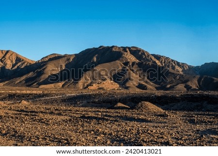 blue sky and brown desert in the rocky highlands near Nazca with desert plants and little water in Nazca Peru