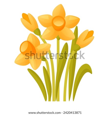 Vector set of yellow daffodils on a white background. Early spring garden flowers.