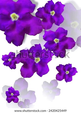 Beautiful flowers or floral background for decoration Design or advertising work