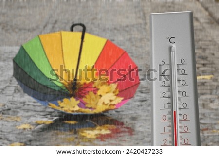 Thermometer and open colorful umbrella with fallen leaves on wet pavement under rain. Temperature in autumn
