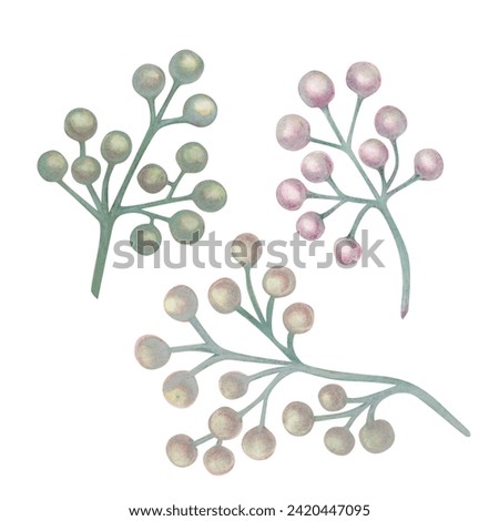 Watercolor lilac berry a pastel palette in vintage style for wedding, Valentine's day, Women's Day, iIllustrations, templates, stickers, wallpapers, scrapbooking, bouquets, wreaths, boutonnieres.