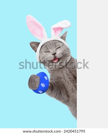 Happy kitten wearing easter rabbits ears holds colorful easter egg and looks from behind empty white banner on blue background