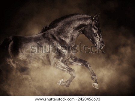 adorable animal big horse picture with clouds background
