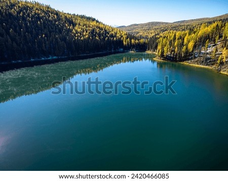 Captivating aerial shot of a tranquil mountain lake with lush autumnal trees reflecting in water in the Altai region.