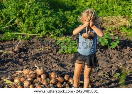 Onion harvest in the garden in the hands of a child. Selective focus. Food.