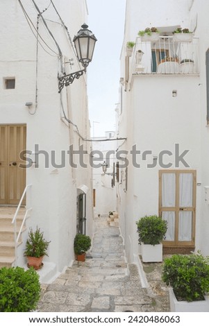 Typical narrow street with white walls in South Italy in Puglia region Royalty-Free Stock Photo #2420486063