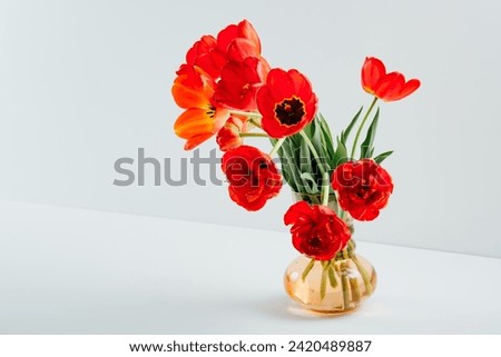 A bouquet of lush red tulips in vintage glass vase on the table on light grey background. Business card of flower shop with copy space. Invitation postcard. International women's day. Valentine's day.