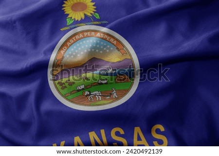 waving colorful national flag of kansas state. macro shot