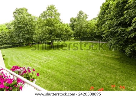 Picture of field in nature in summer